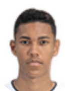 Mathys de Carvalho