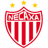 尼卡沙